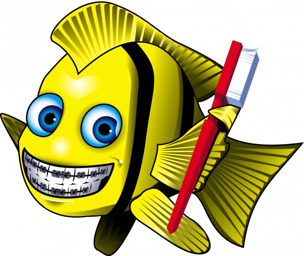 Dr. Steven A. Fischman Orthodontics
